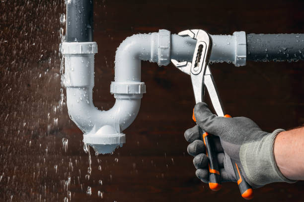 Professional Plumbing technician working in Trenton, GA